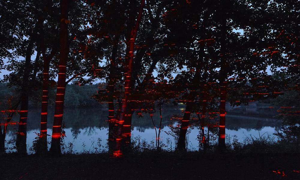 Mies-van-der-Rohe-Farnsworth-House-Illuminated-With-Lasers-4