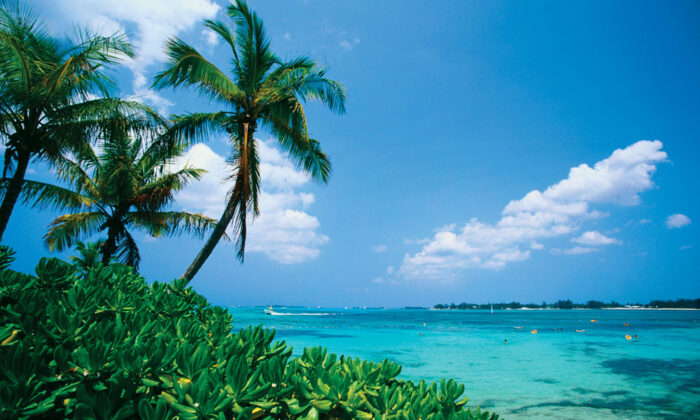 4-Night-Bahamas-Cruises