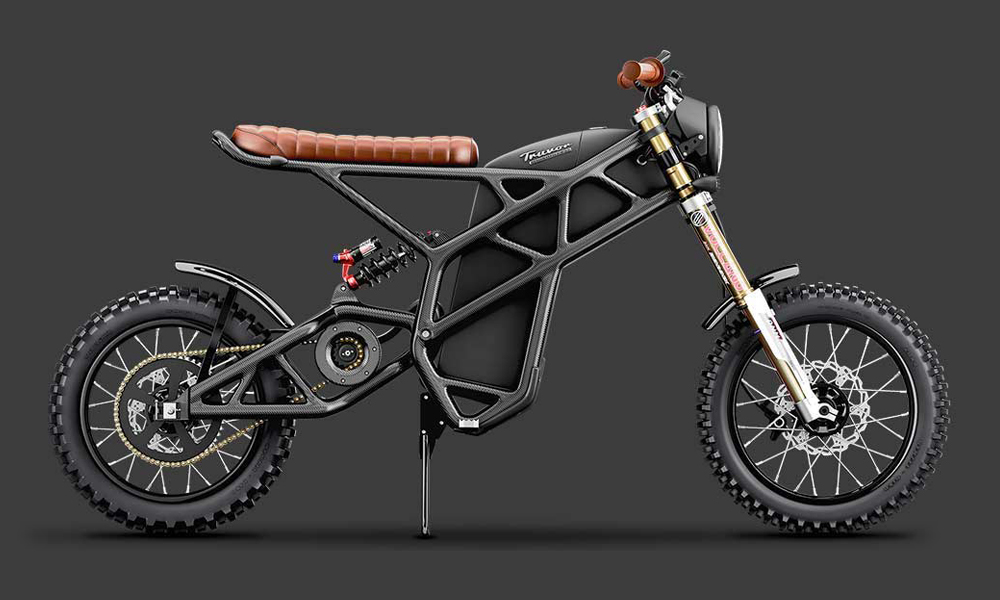 Denzel Truvor Carbon Fiber Electric Scrambler Motorcycle