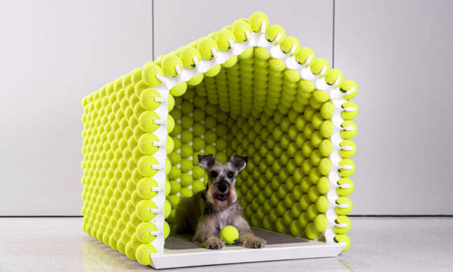 A Dog House Made of 1,000 Tennis Balls
