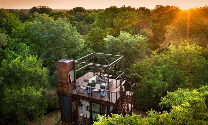 Ngala-Treehouse-Experience