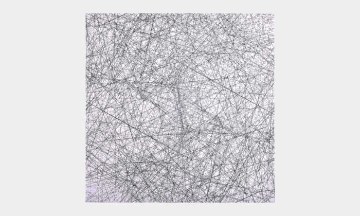 Bgraamiens Black and White Line Drawing Puzzle