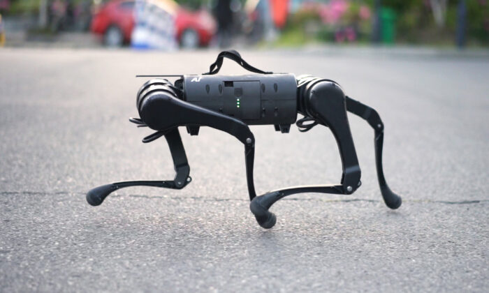 Unitree AI Robot Dog