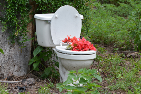 toilet-garden