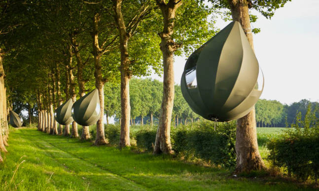 Sleep in the Trees in a Suspended Tent Shaped Like an Avocado