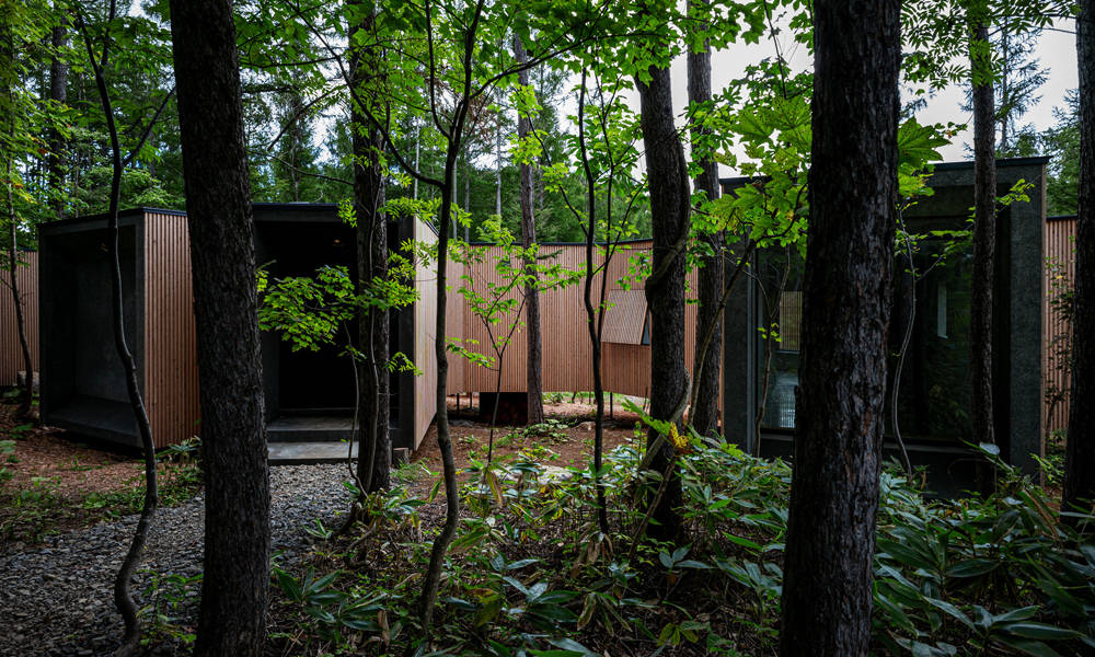 Florian-Busch-Architects-House-in-the-Forest-3