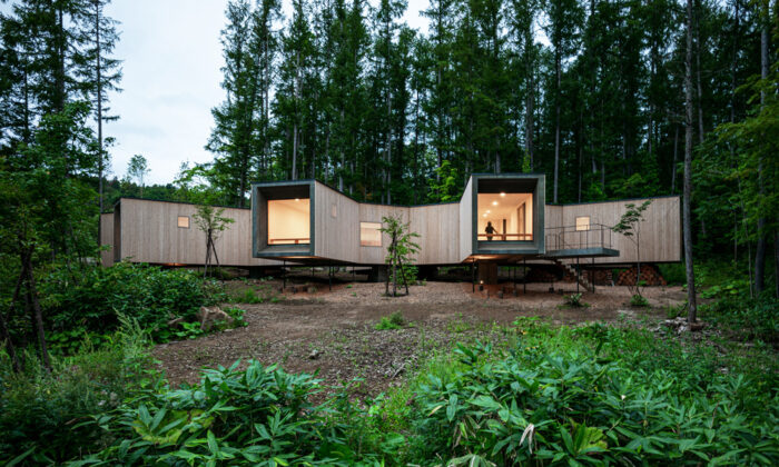 Florian-Busch-Architects-House-in-the-Forest