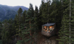 Woodnest-Luxury-Treehouse-Cabins
