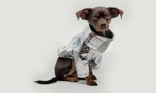 This Dog Jacket Is Made from Upcycled Delivery Bags