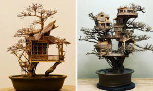 Dave-Creek-Handcrafted-Bonsai-Treehouses