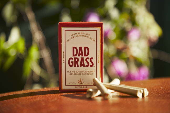 Dad Grass Is the Perfect Gift for Father’s Day