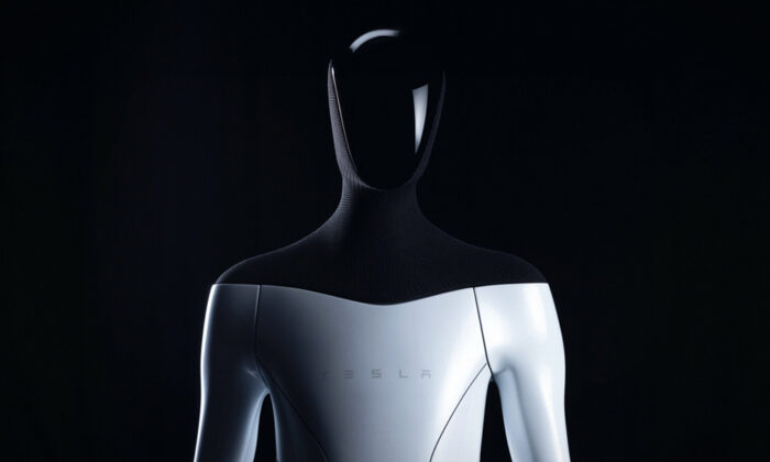 Tesla-Bot-1