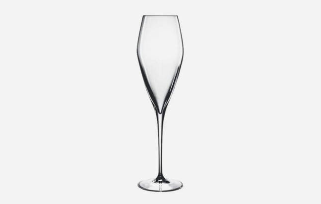 Luigi-Bormioli-Atelier-Champagne-Glasses