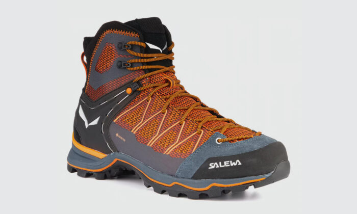 Salewa-4