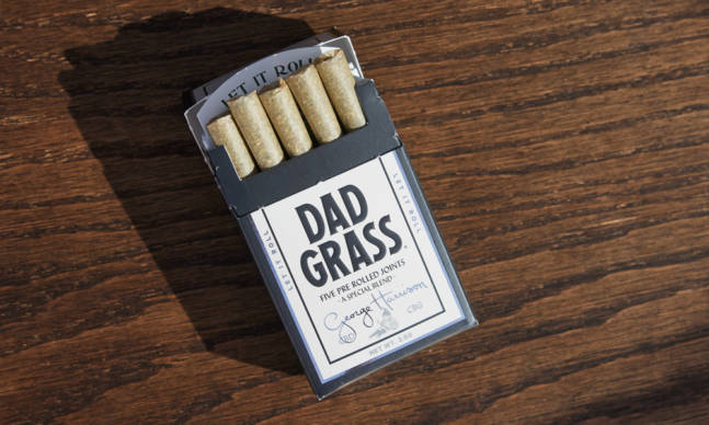 Dad Grass x George Harrison: All Things Must Grass Collection