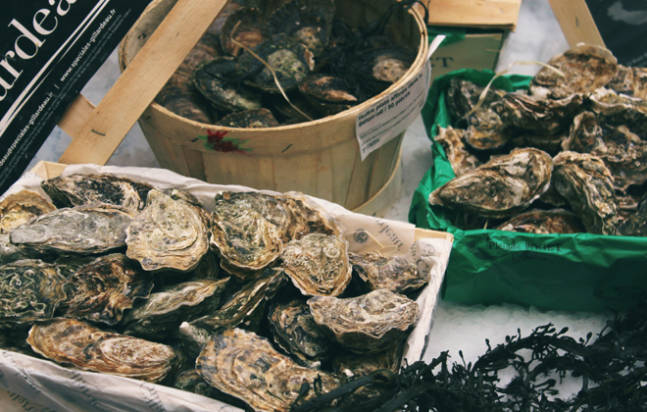 How-to-Shuck-an-Oyster-2