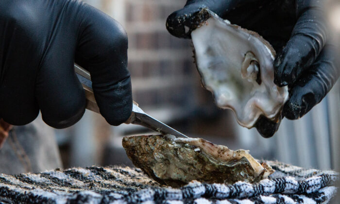 How-to-Shuck-an-Oyster