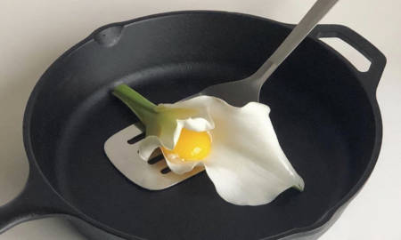 Egg-IG