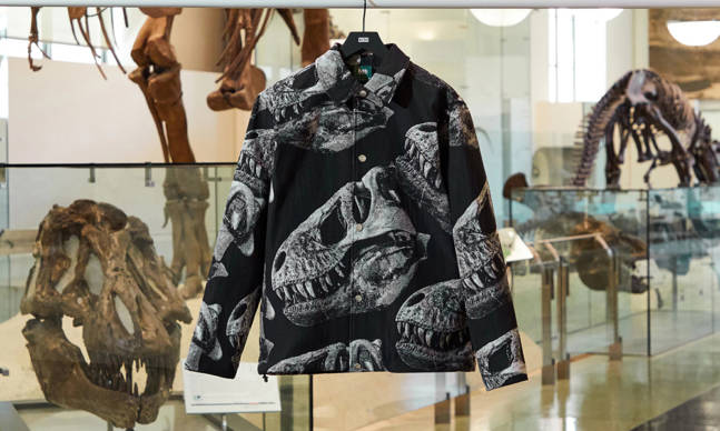Kith x The American Museum of Natural History