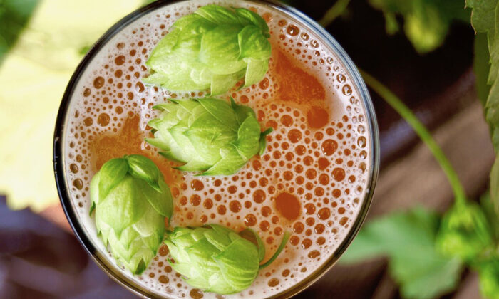 Fresh-Hop-Beer-Season-Has-Arrived