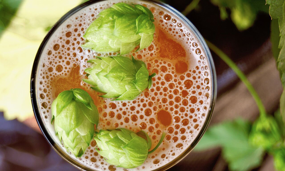 Fresh Hop Beer Season Has Arrived. Here’s What You Need to Try.