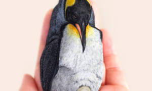 Penguin-IG