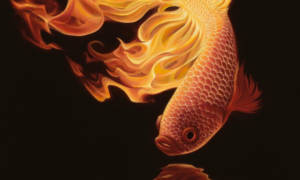 Fire-Fish