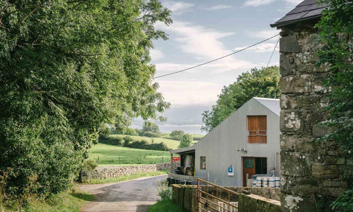 I Moved To Ireland For a 3-Month Brewing Internship. Here’s What It Was Like