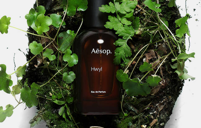 Aesop-Hwyl-2