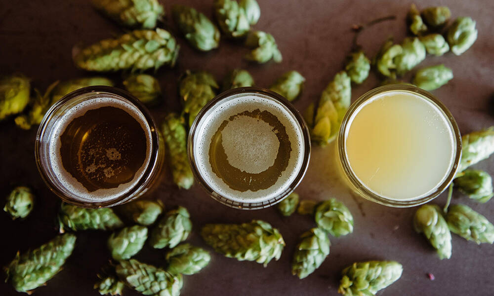 Hops-That-Every-IPA-Lover-Should-Know