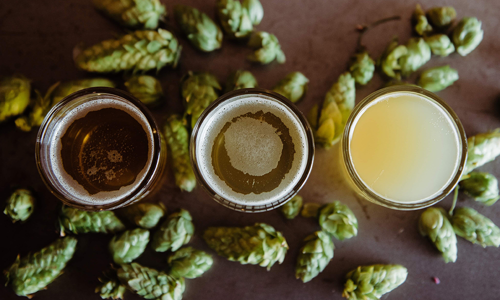 The 9 Hops That Every IPA Lover Should Know