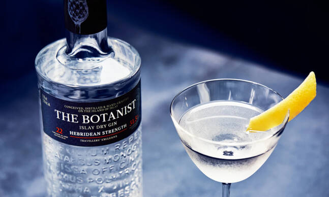 10 Gins So Good You’ll Want To Drink Them Neat