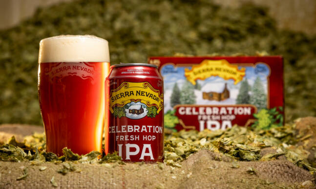 10 Beer Experts Tell Us The IPAs They Always Drink