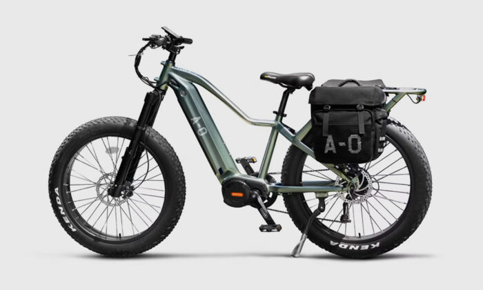 Ronin Mark 1 E-Bike