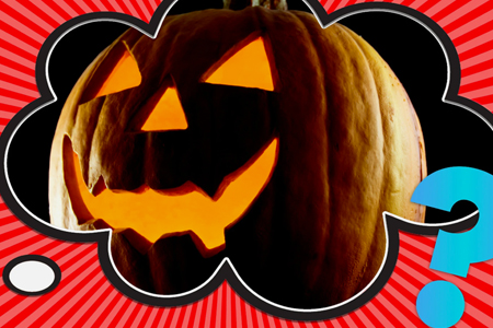 What Happens to Unsold Halloween Pumpkins?