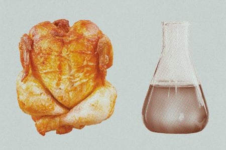 Lab-Grown Meat Is Here, But Does Anyone Want to Eat It?