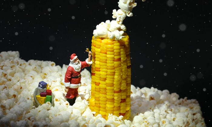 Santa-Corn-IG