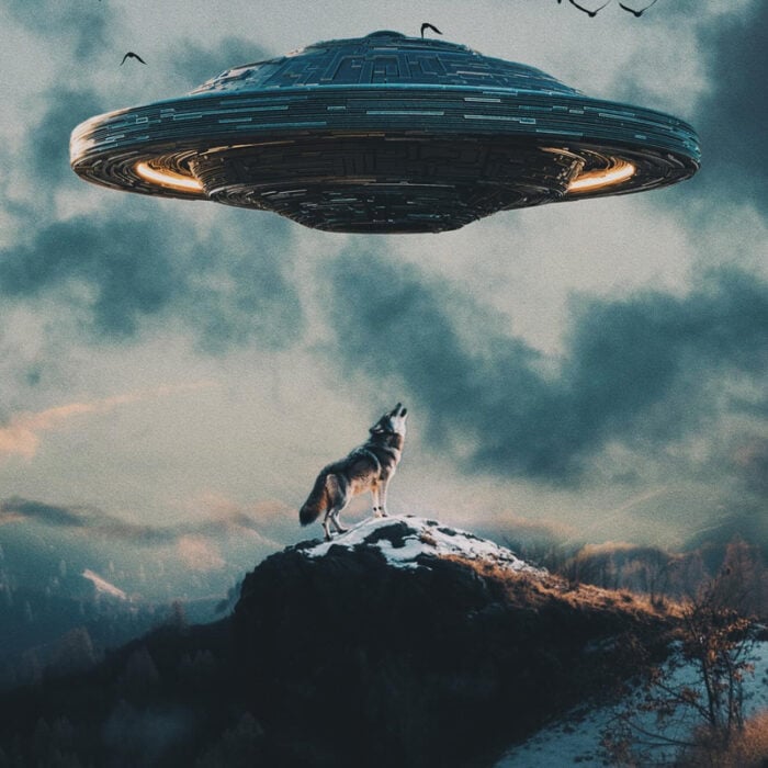 Dog-UFO-IG