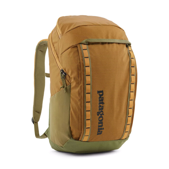 patagonia-blackhole-bag