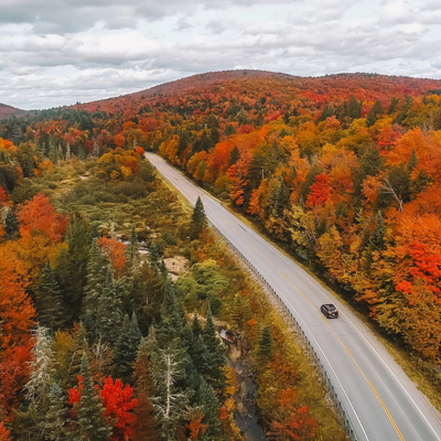 Why Fall Foliage Might Not Be as Vibrant in the Future