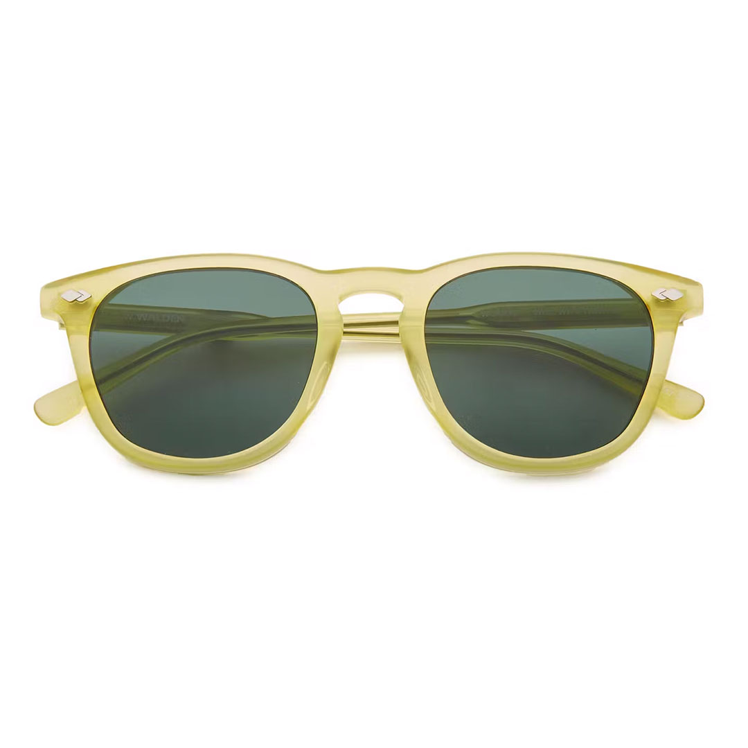 Walden Eyewear Woods Sunglasses - 40% Off