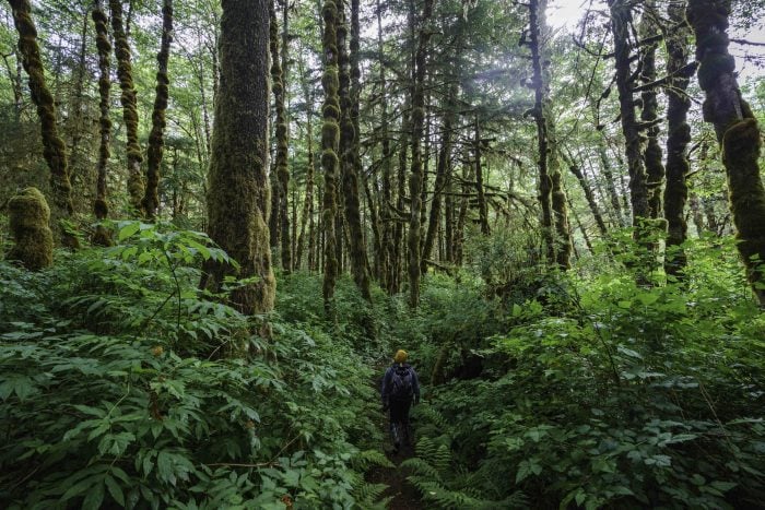 Rediscover the Wild at British Columbia’s Indigenous Resorts