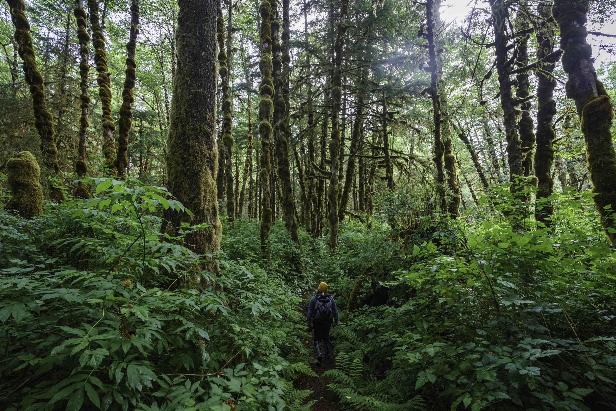 Rediscover the Wild at British Columbia’s Indigenous Resorts