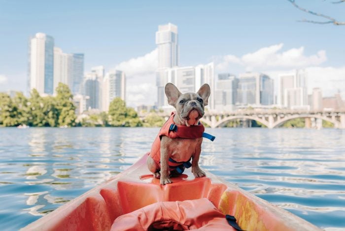 The 6 Best Dog-Friendly Destinations in the U.S.