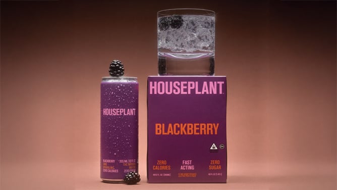 Houseplant Blackberry THC Sparkling Water