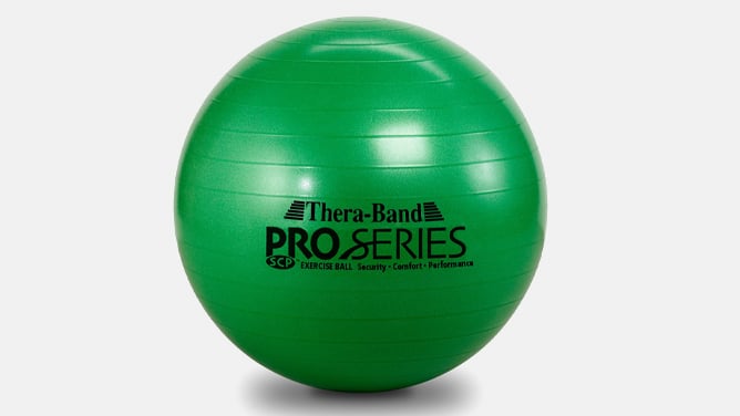 TheraBrand Exercise Ball