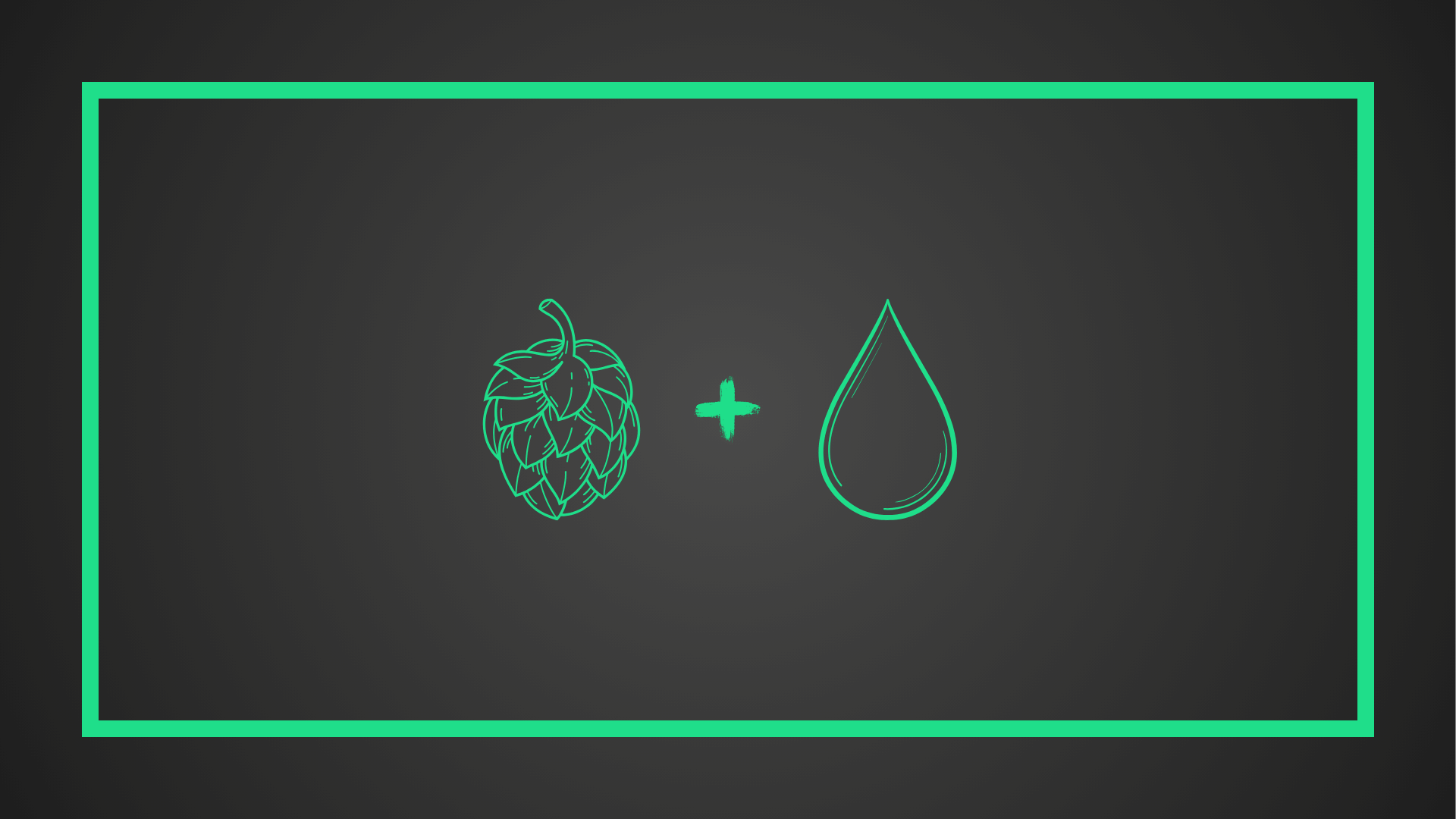 Het meest verfrissende hopwater, gerangschikt