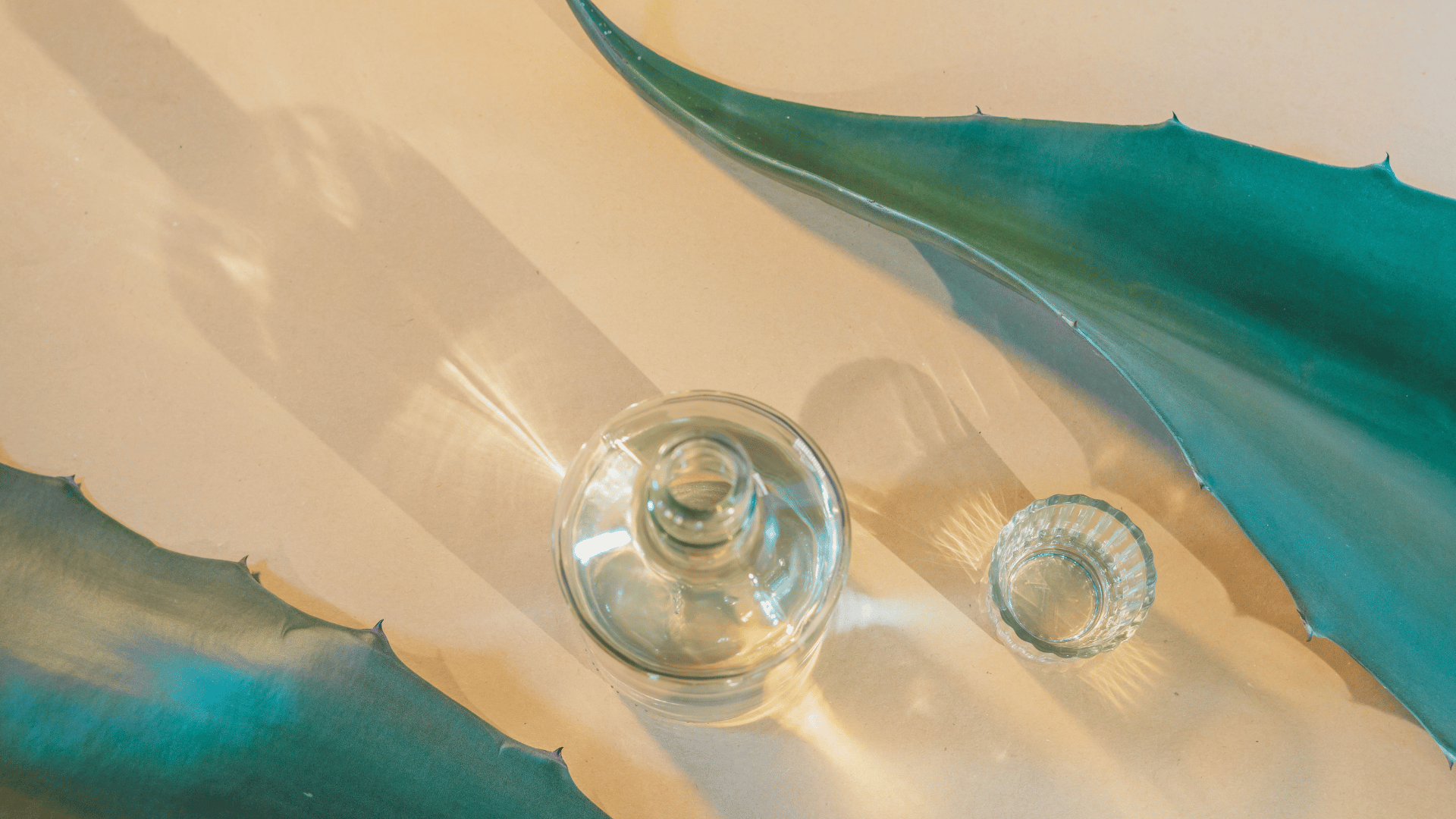 Niet alle agave-spirits zijn tequila of mezcal