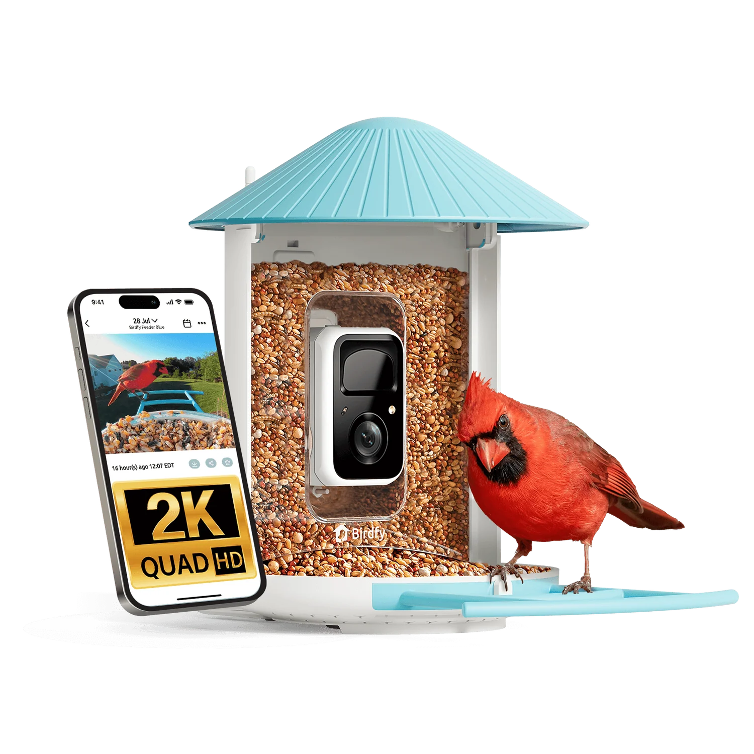Birdfy Smart Bird Feeder with Camera 