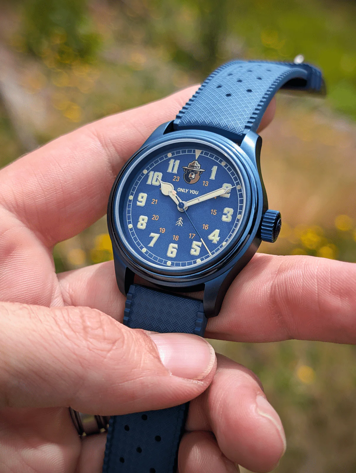 Vero Watch Company The Smokey Bear Blue Skies Edition 
